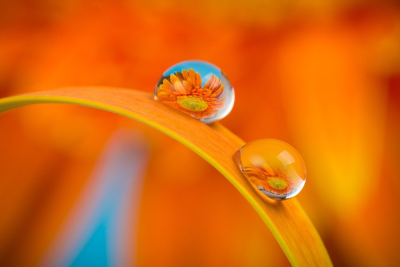 Amber5